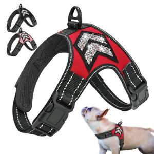 Dog harness